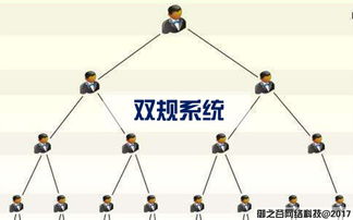 御之谷網絡 專業軟件開發與網絡開發服務的引領者